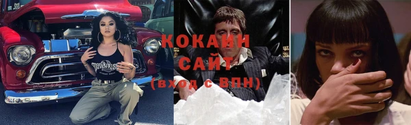 сатива Арсеньев