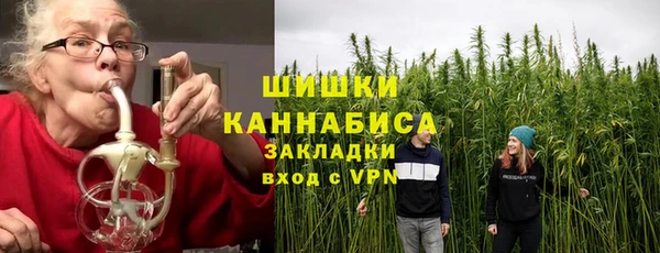 сатива Арсеньев