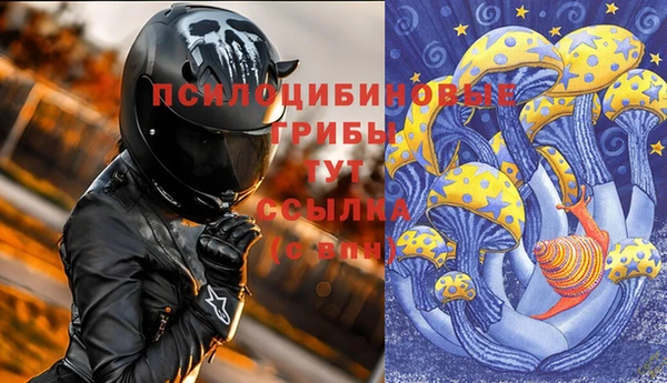 сатива Арсеньев